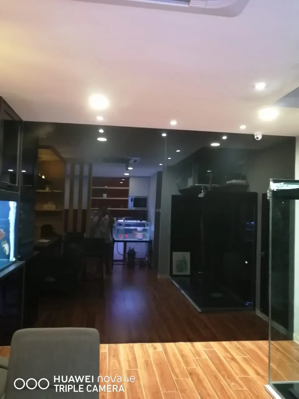 PLAIN MIRROR